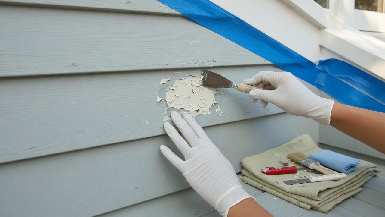 Gloved hands carefully prepping cedar clapboard paint failure on an older Massachusetts home